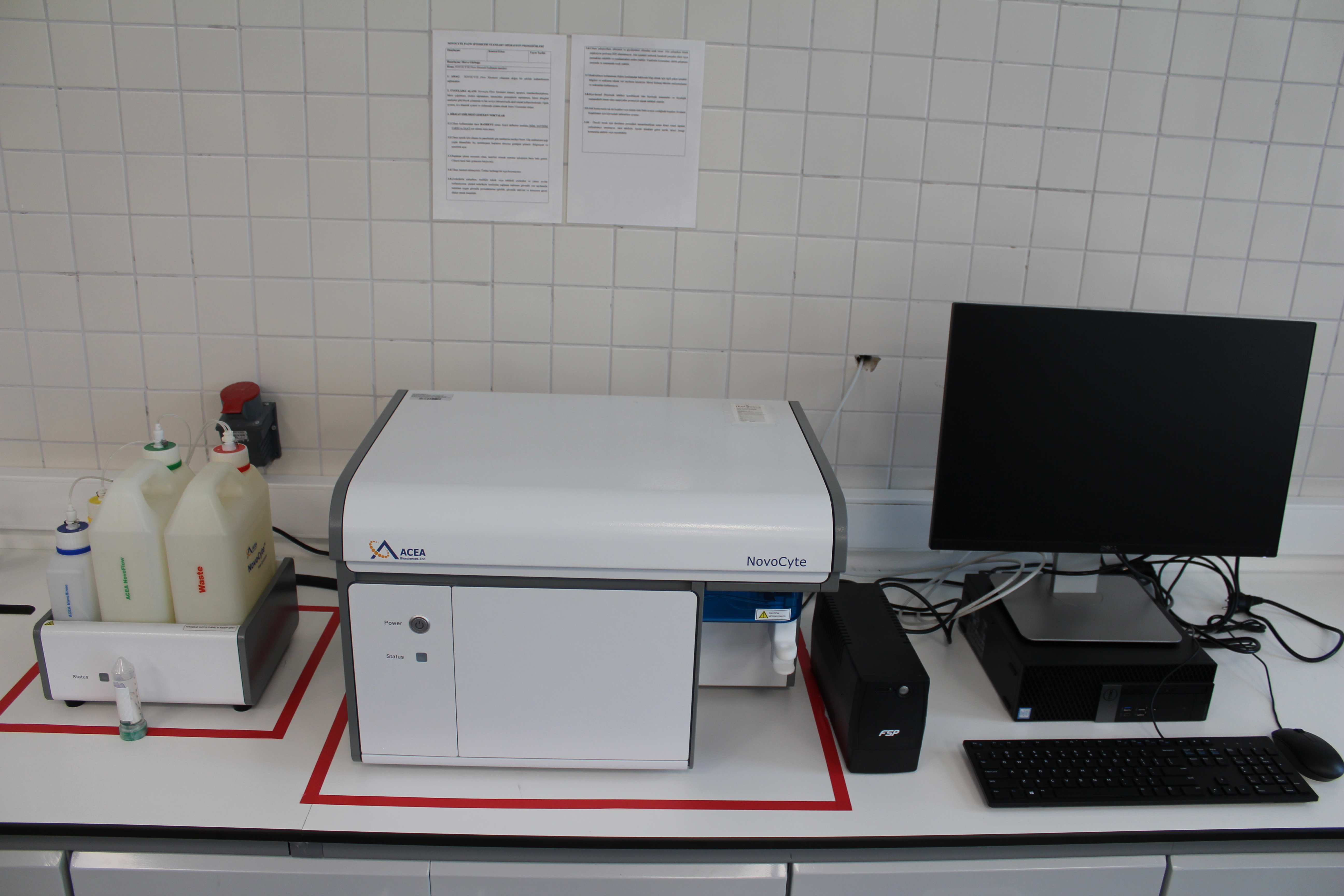 Flow cytometry IMG_2466.JPG (4.63 MB)