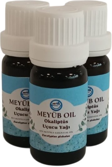 Okaliptus.jpg (34 KB)