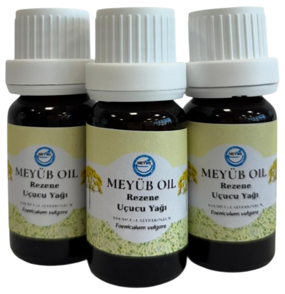 rezene (2).png (324 KB)