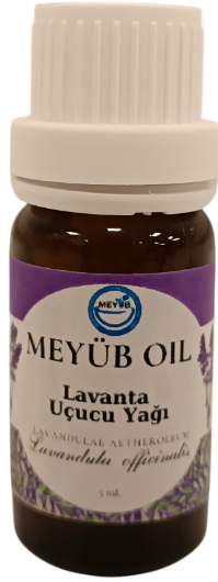 Lavanta uçucu yağı 2.png (112 KB)