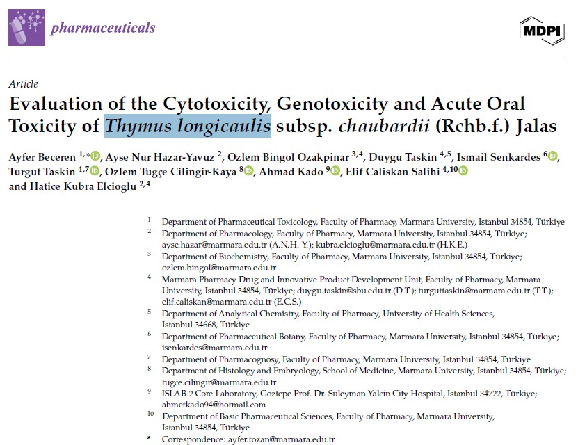 Thymus longi.jpeg (149 KB)